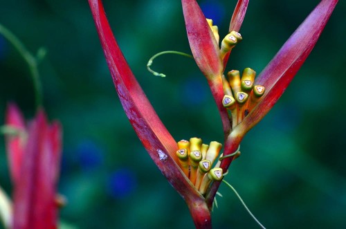 2d28c12602a510adfcd3ea70571a372b