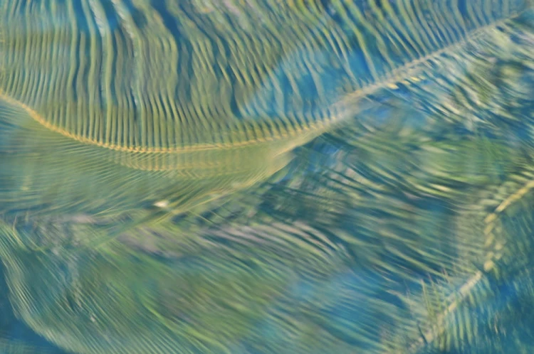 69d9e0bf6dcca1c86322f282c2199d88