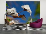 5dcfd28230f3364fe480c628a1727a63