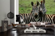 f3ee884c7dc854f7749f3b6d8b76a009
