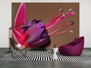 4c95db339aa43a5c744dc1506e1ac677