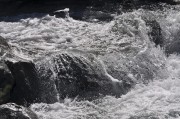 18d8895450cddf2ee1c1b0e7e68a4aa0